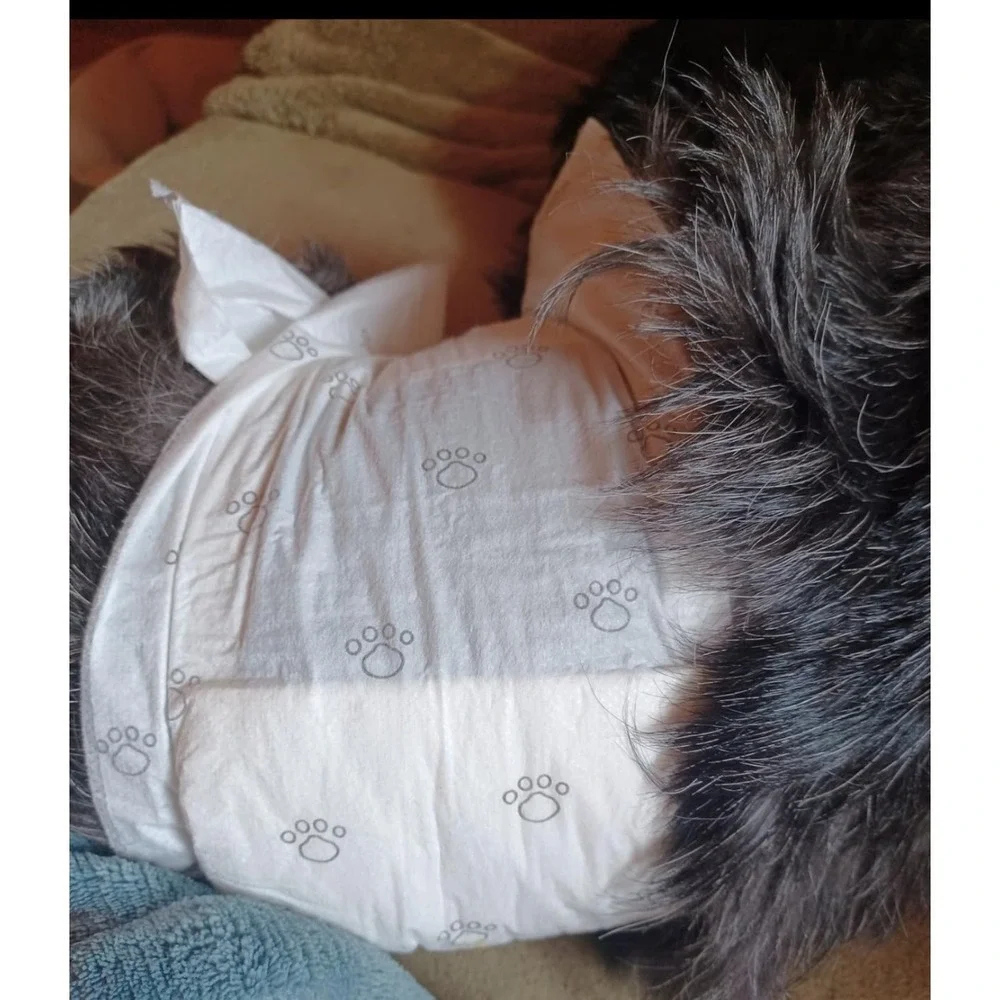 Male Dog Diapers Medium 60 Count Disposable Leak Proof Belly Bands